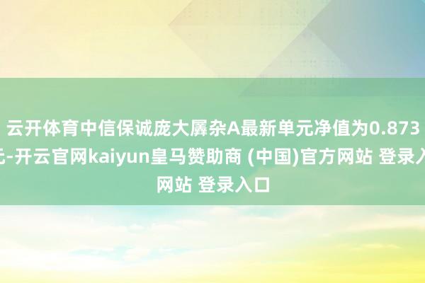 云开体育中信保诚庞大羼杂A最新单元净值为0.8734元-开云官网kaiyun皇马赞助商 (中国)官方网站 登录入口
